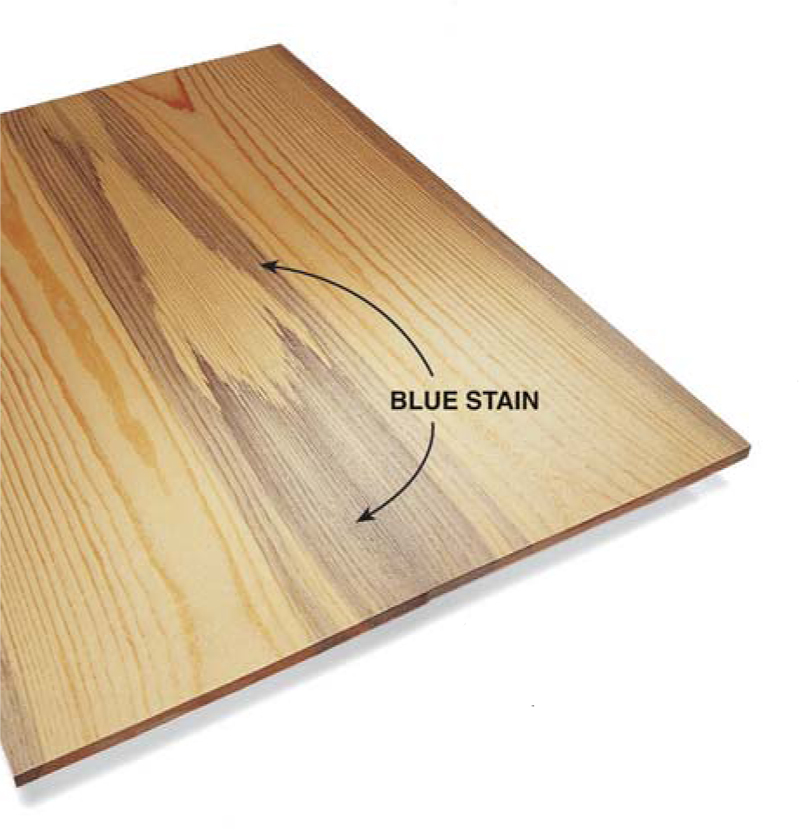 Q & A: Is Blue-Stained Pine OK?