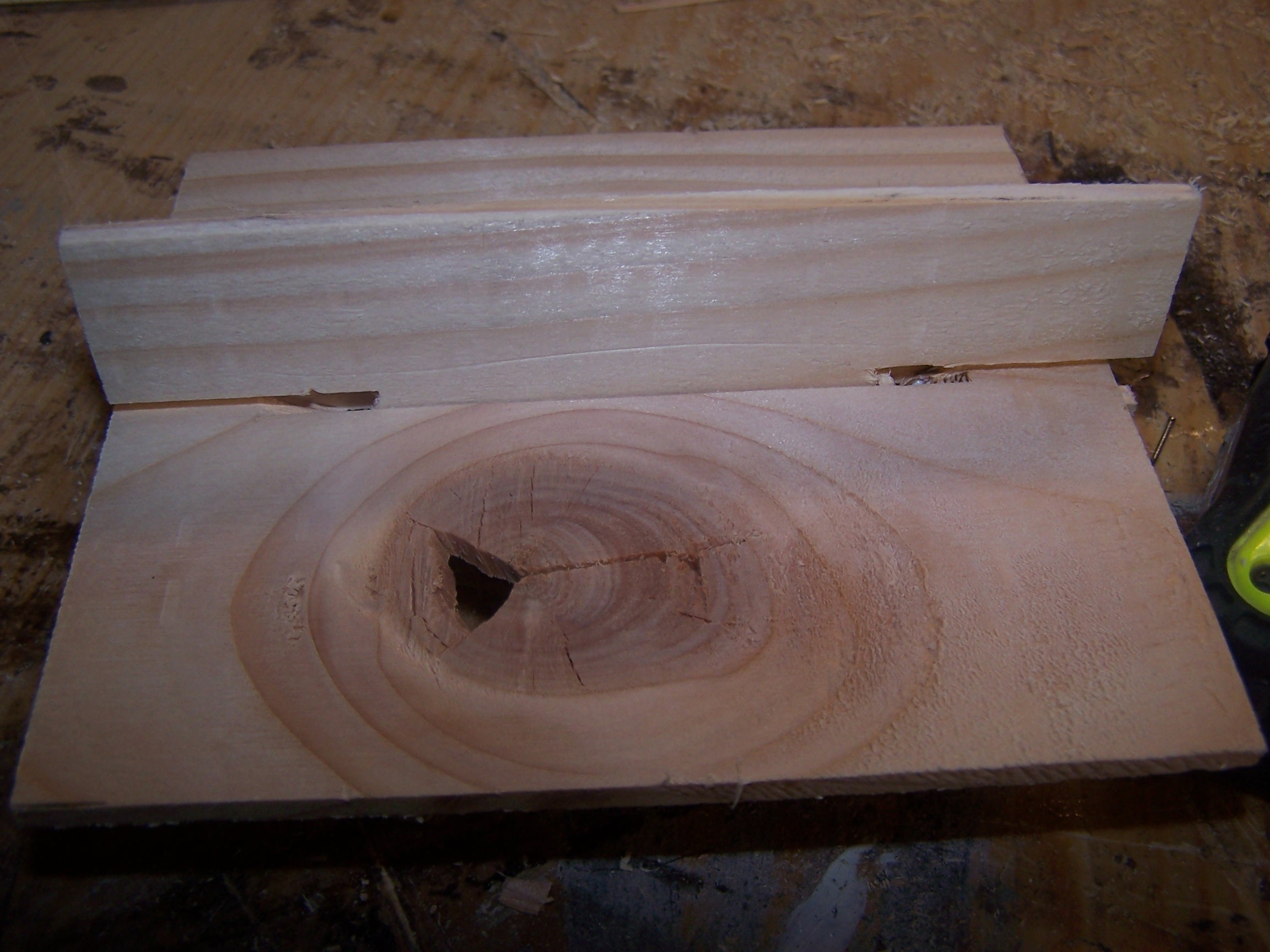 PINE SLICES Popular Woodworking Magazine
