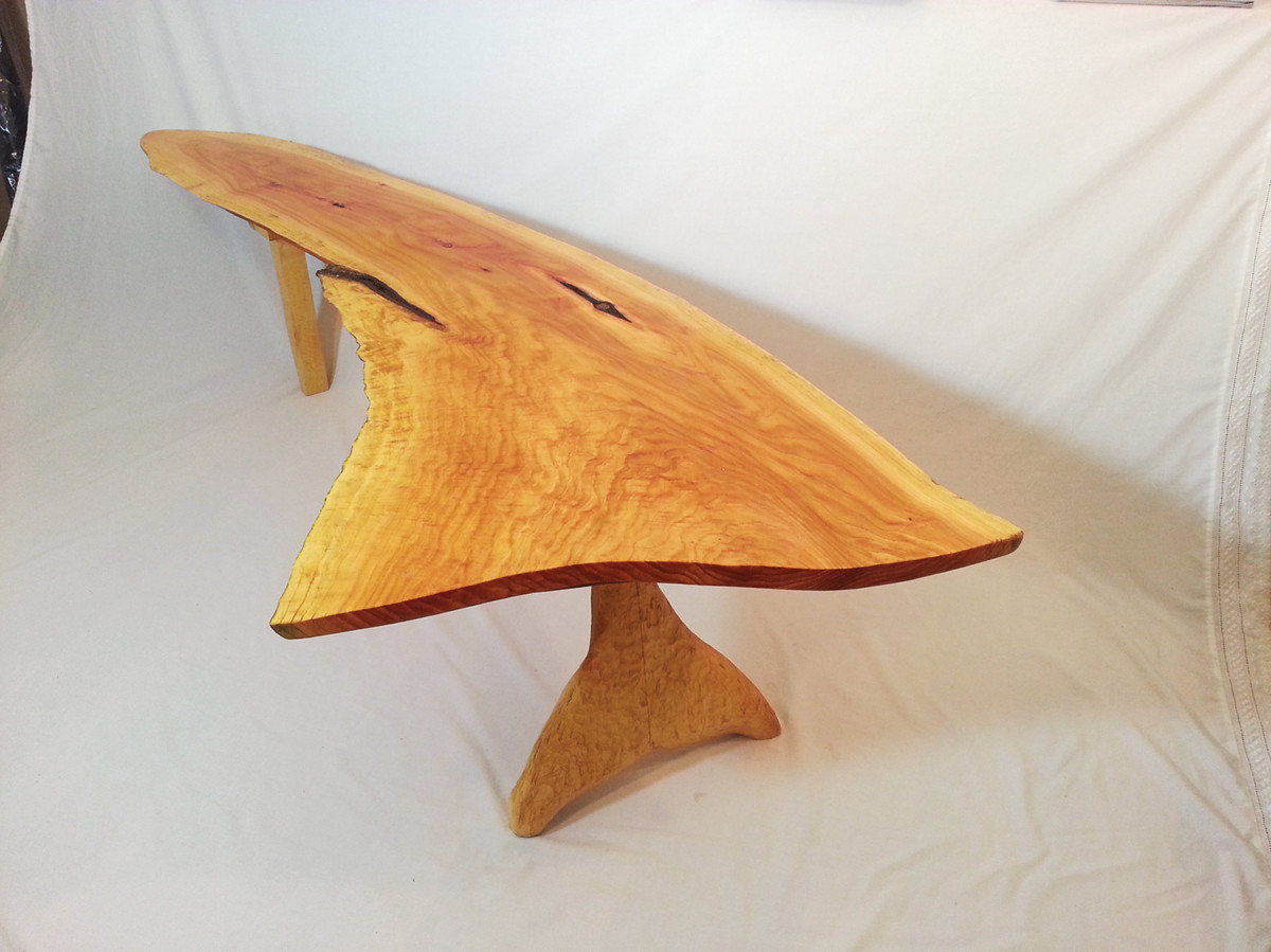 How a Tree Became a Whale