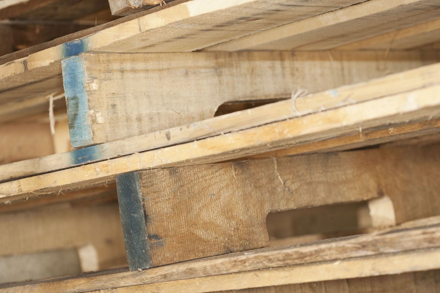 Wood Encyclopedia: American Alleewood