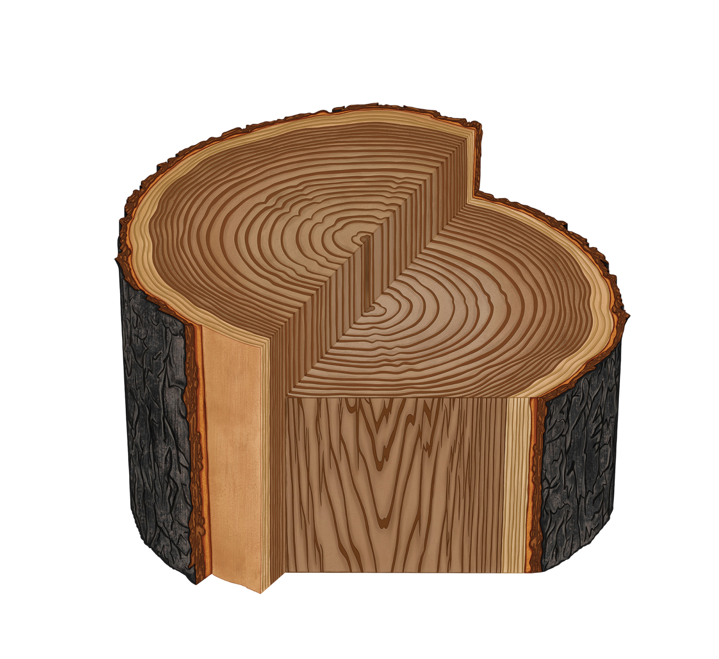 Anatomy of A Log