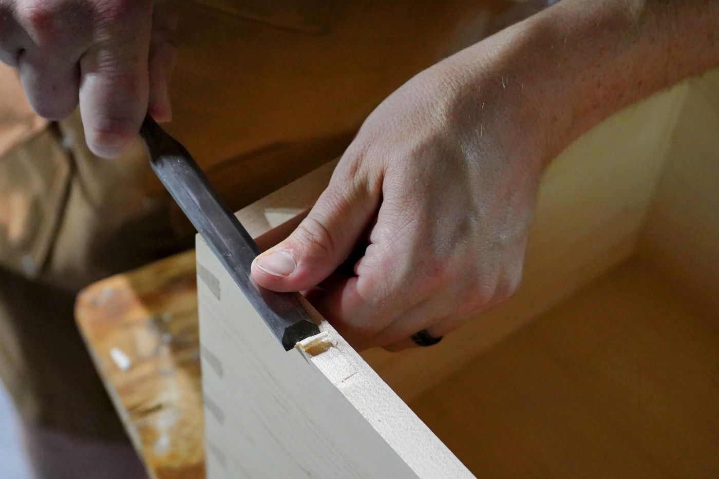 Welcome to Basics Week 2024