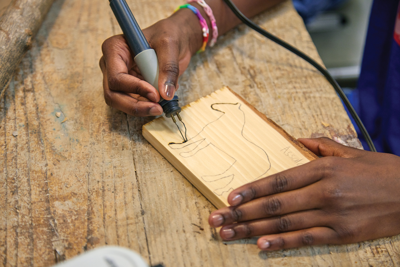 Rudolf Steiner School