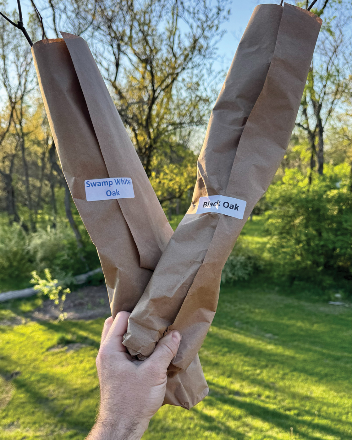 Planting For The Future