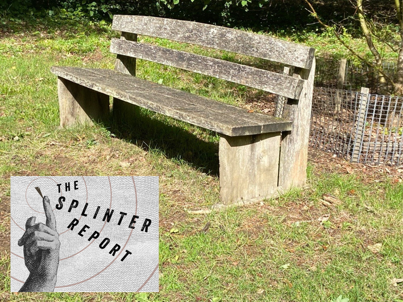 The Splinter Report: October 3rd