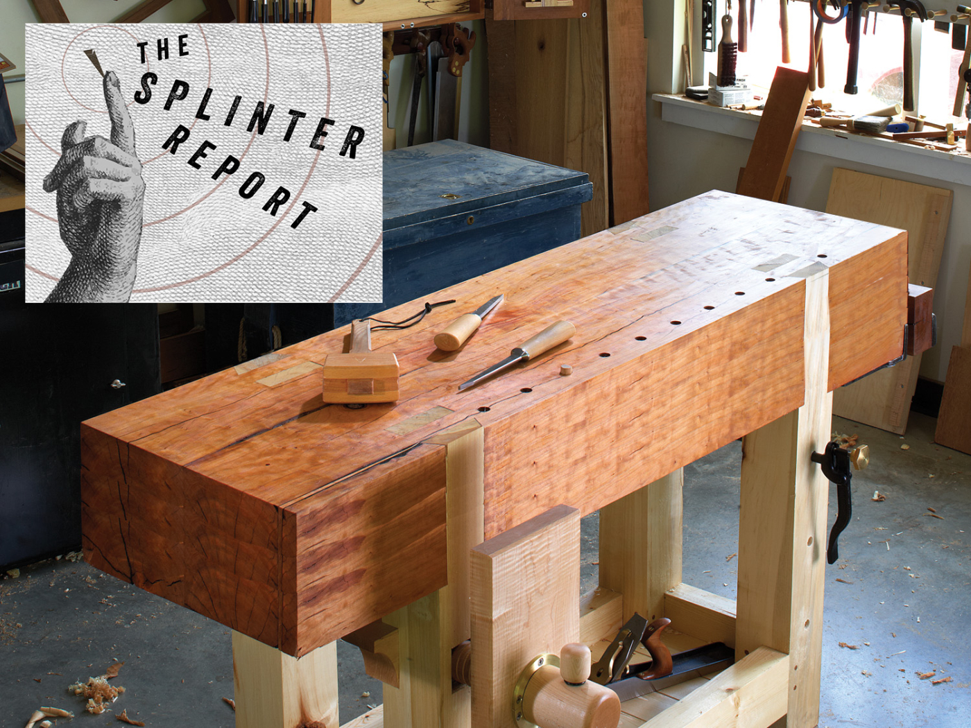 The Splinter Report: December 19th