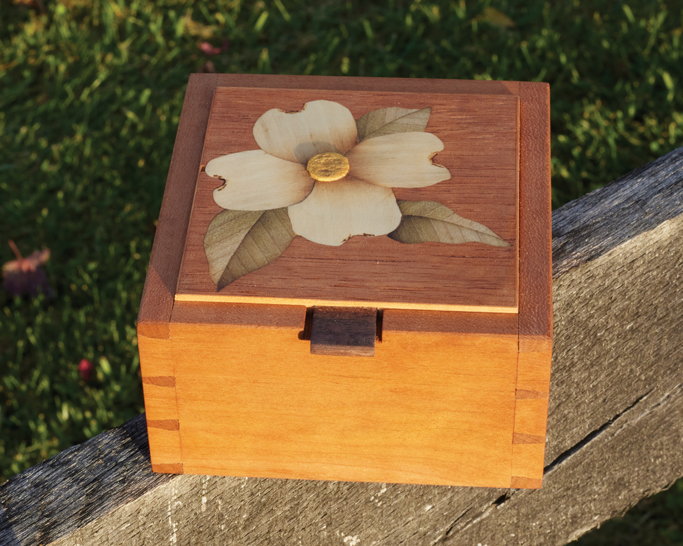Dovetailed Box