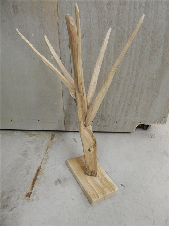 Friday at Brad's Bench May 16th