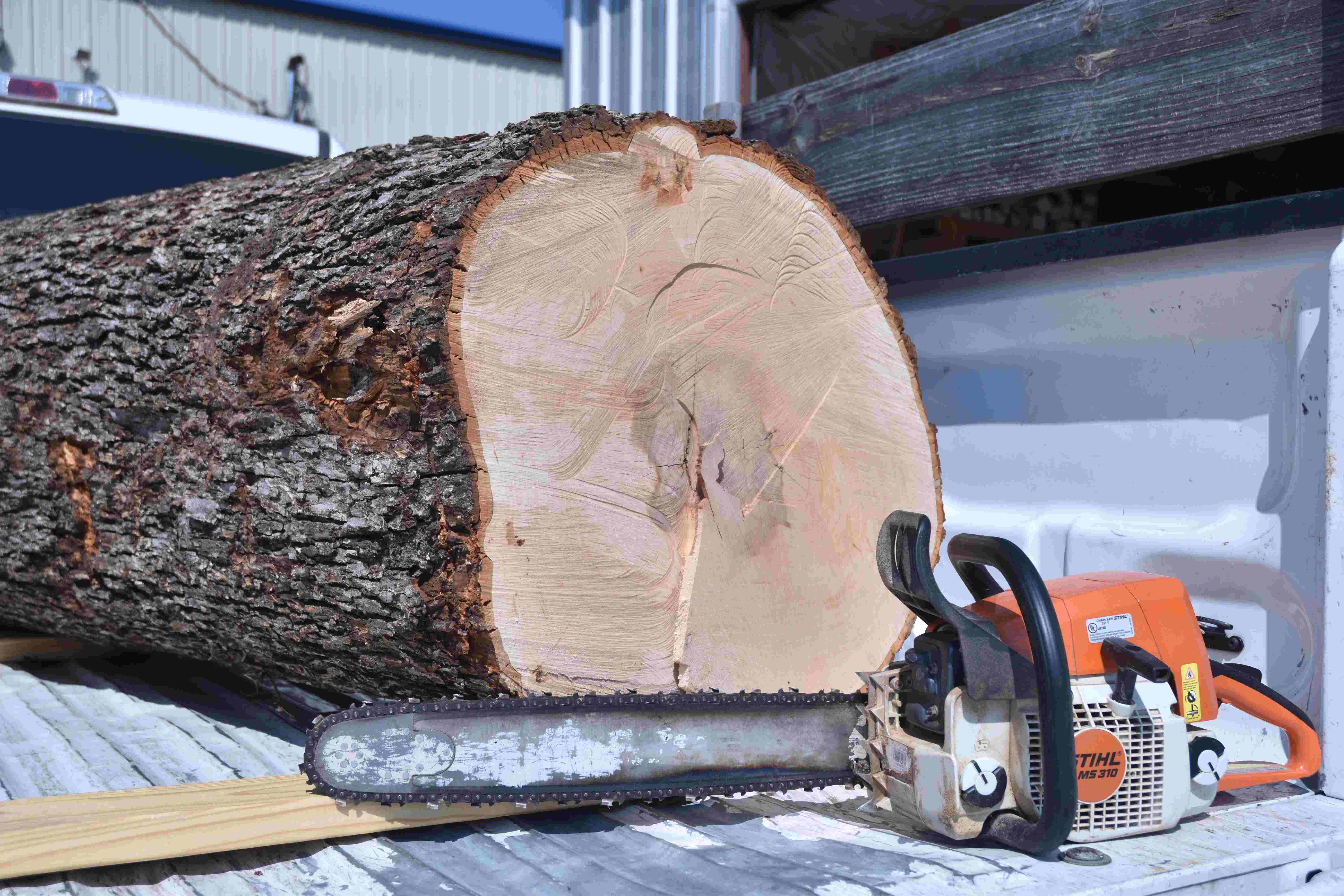 Focus on Turning Design by Working From Larger Logs