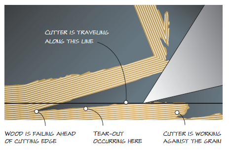 Your Guide to Tear-out