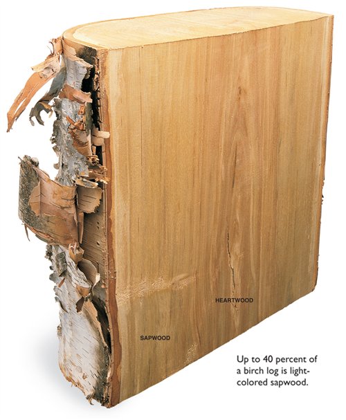 The Way Wood Works: Birch