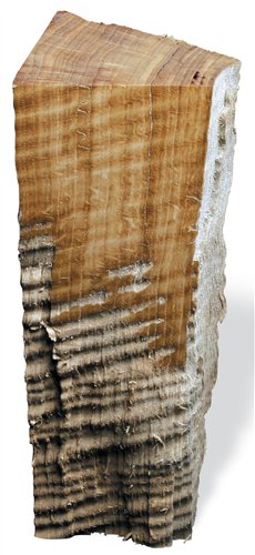 AW Extra 1/24/13 - The Way Wood Works: Curly Wood