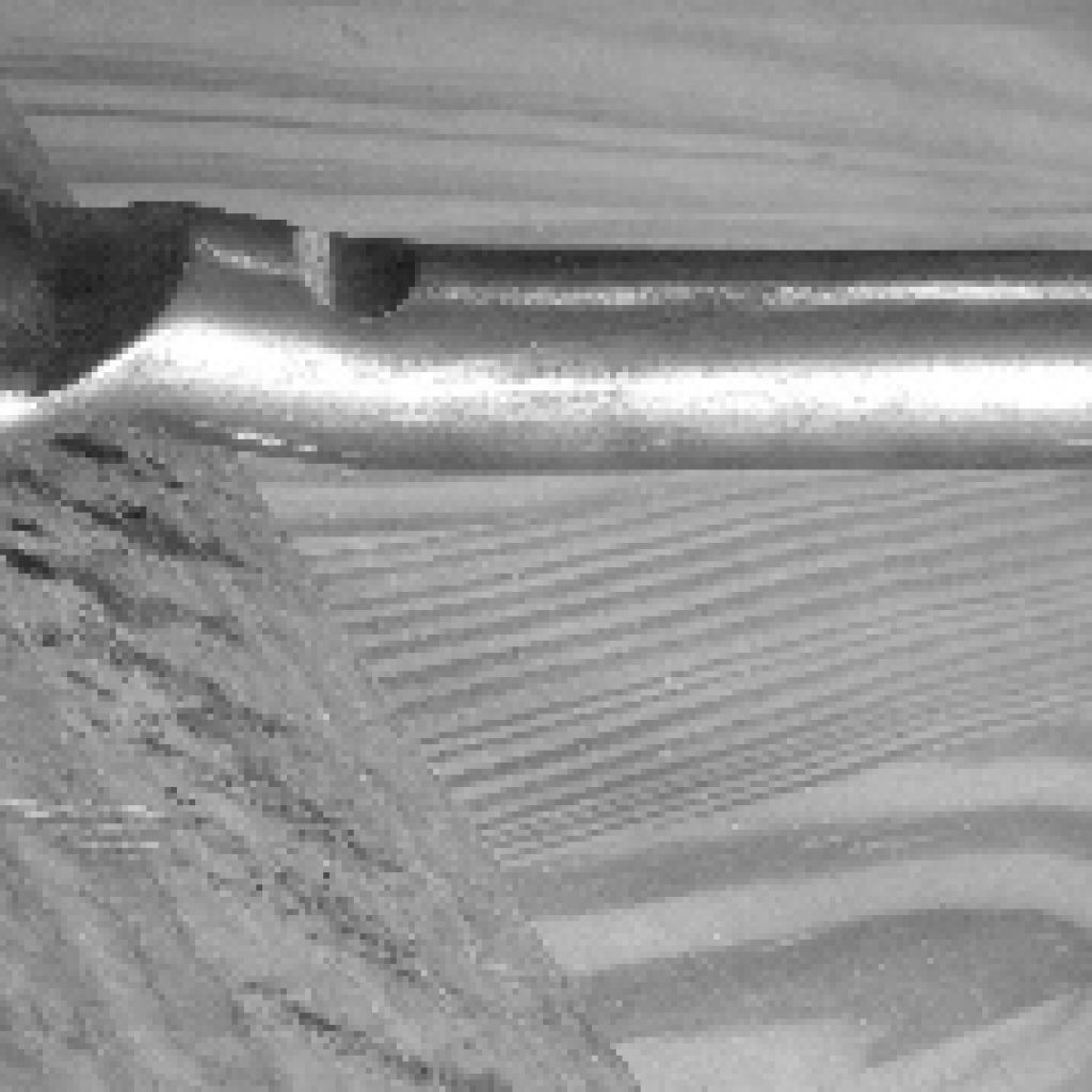 The Anarchist’s Gift Guide, Day 5