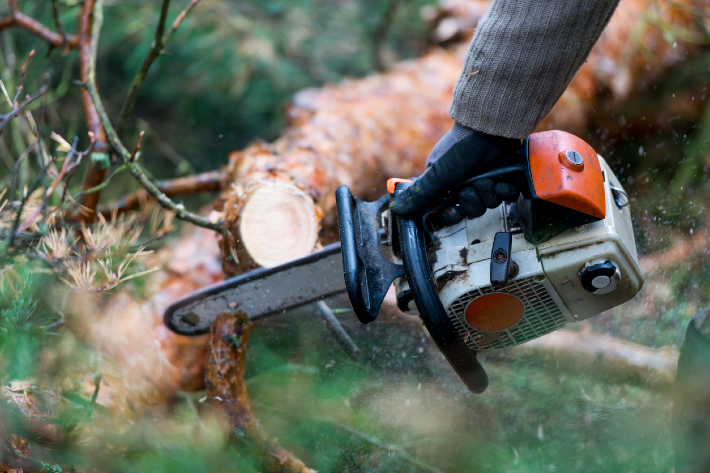 top Cordless Chainsaw