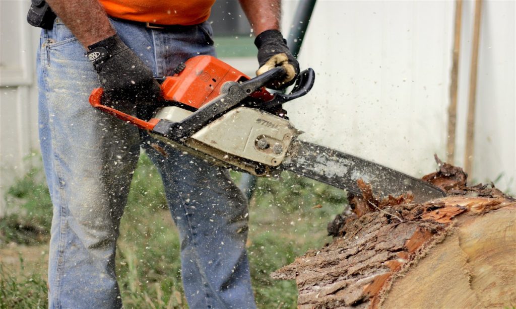 top quality chainsaw sharpener