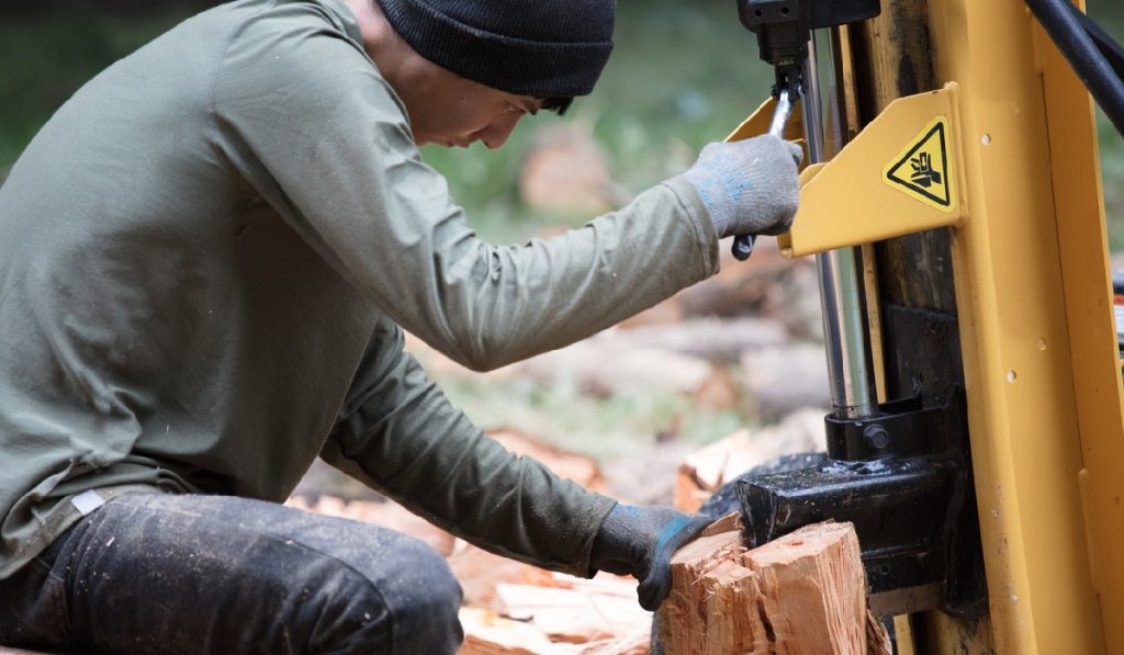 gather wood with a log splitter to start a fire