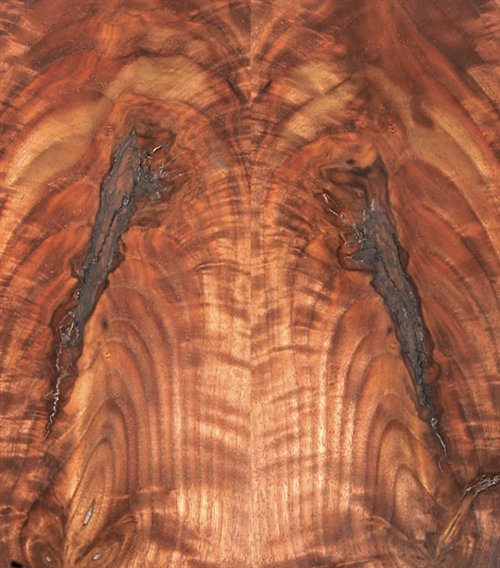 AW Extra 1/10/13 Tips for Making BookMatched Panels Popular