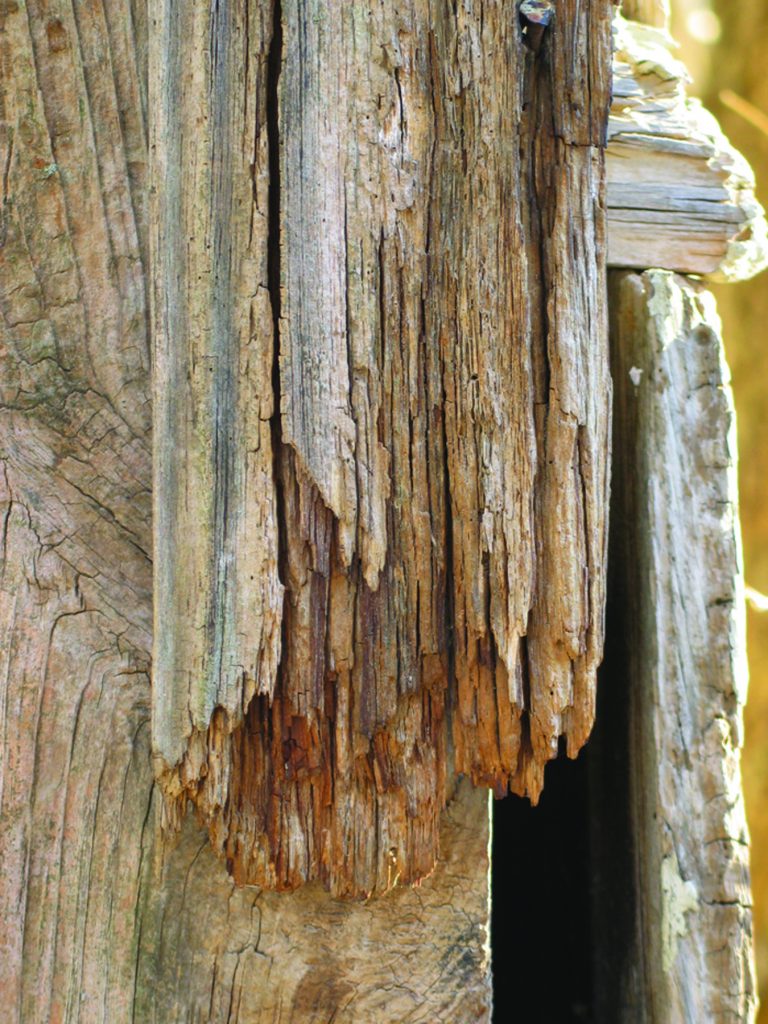 Choosing an Exterior Coating Popular Woodworking