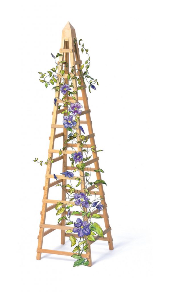 Vine Trellis Popular Woodworking