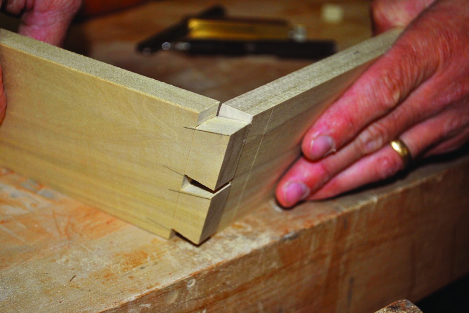 Compound Dovetails Popular Woodworking