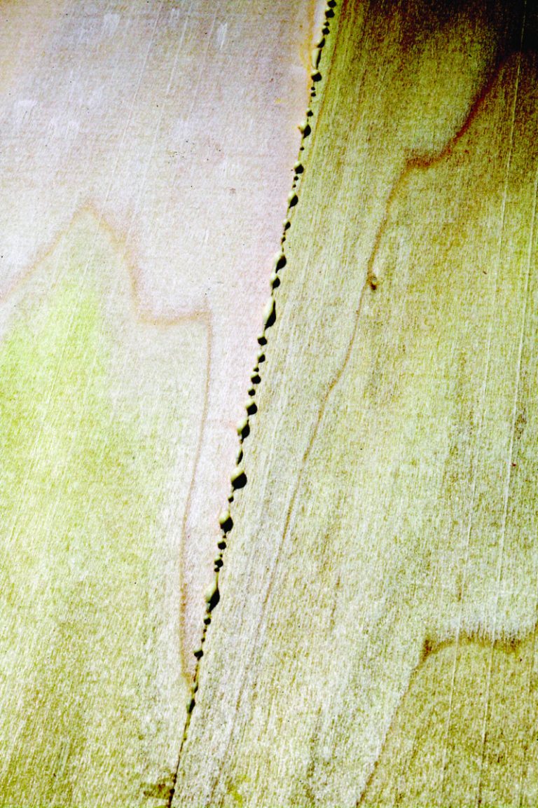 Better Glue Joints Popular Woodworking