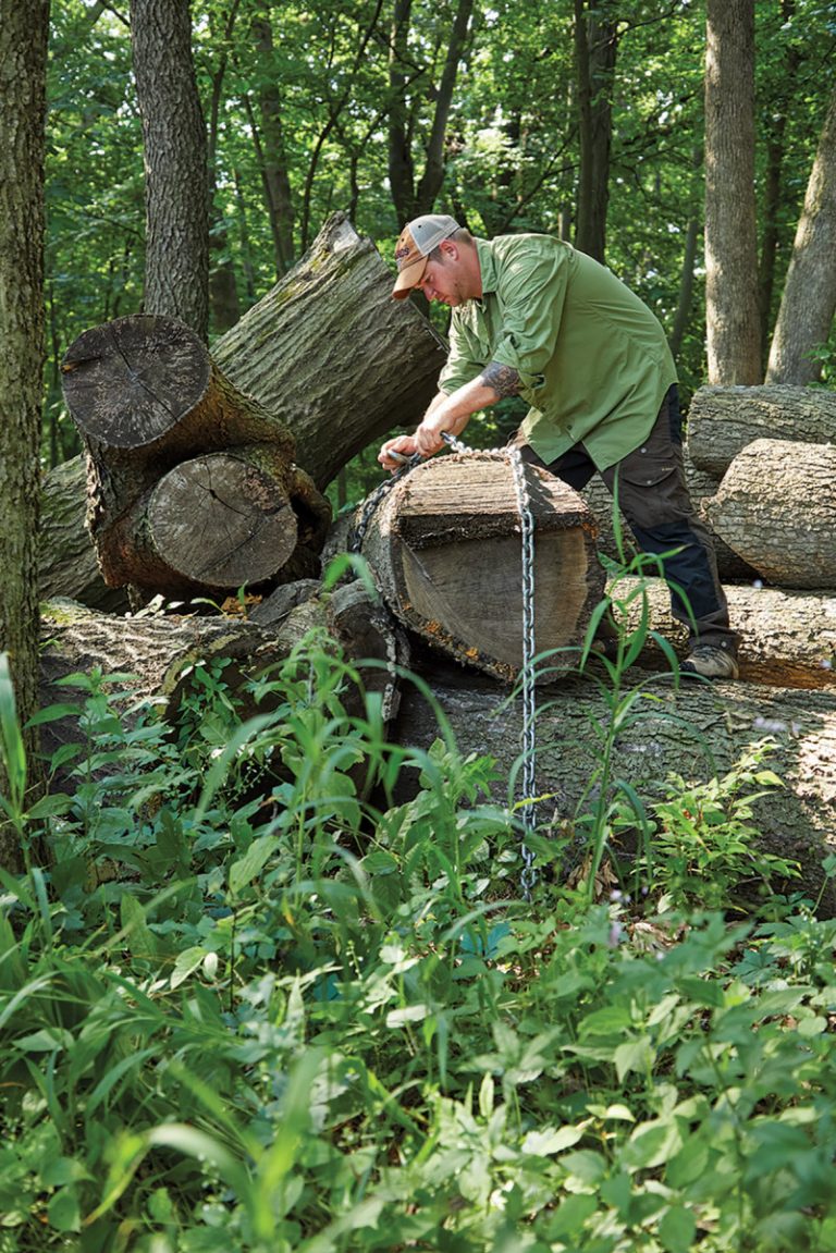 Milling Your Own Lumber Popular Woodworking