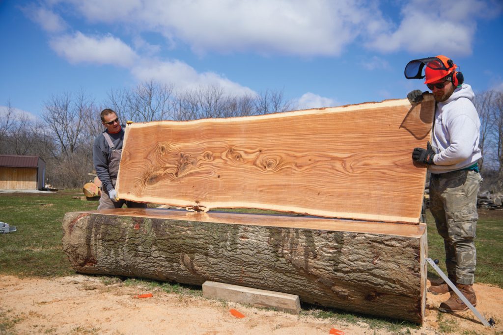 Milling Lumber with a Chainsaw Mill Popular Woodworking
