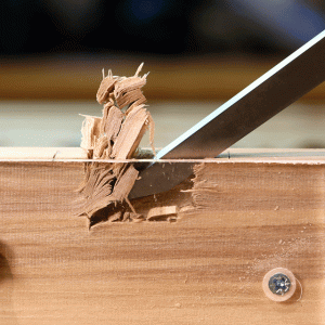 Mortise and Tenon tools