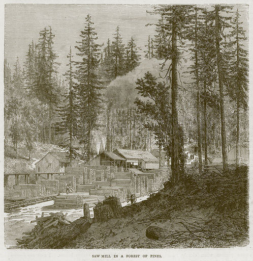 Saw Mill in a Forest of Pines. Illustration from Illustrated Travels edited by HW Bates (Cassell, c-1880)