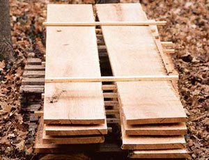 learn-about-types-of-wood