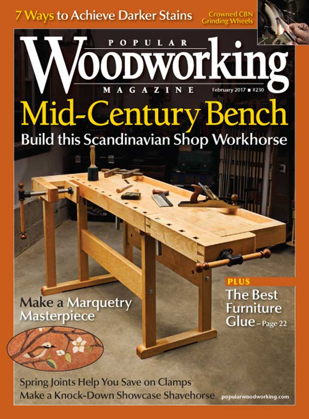 Popular Woodworking Magazine, February 2017 issue